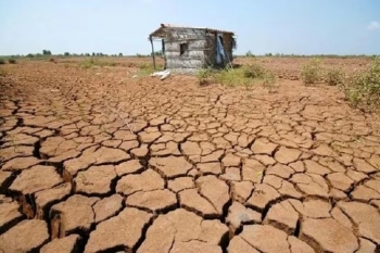 Chương trình hành động quốc gia chống sa mạc hóa: Góp phần xóa đói giảm nghèo bền vững