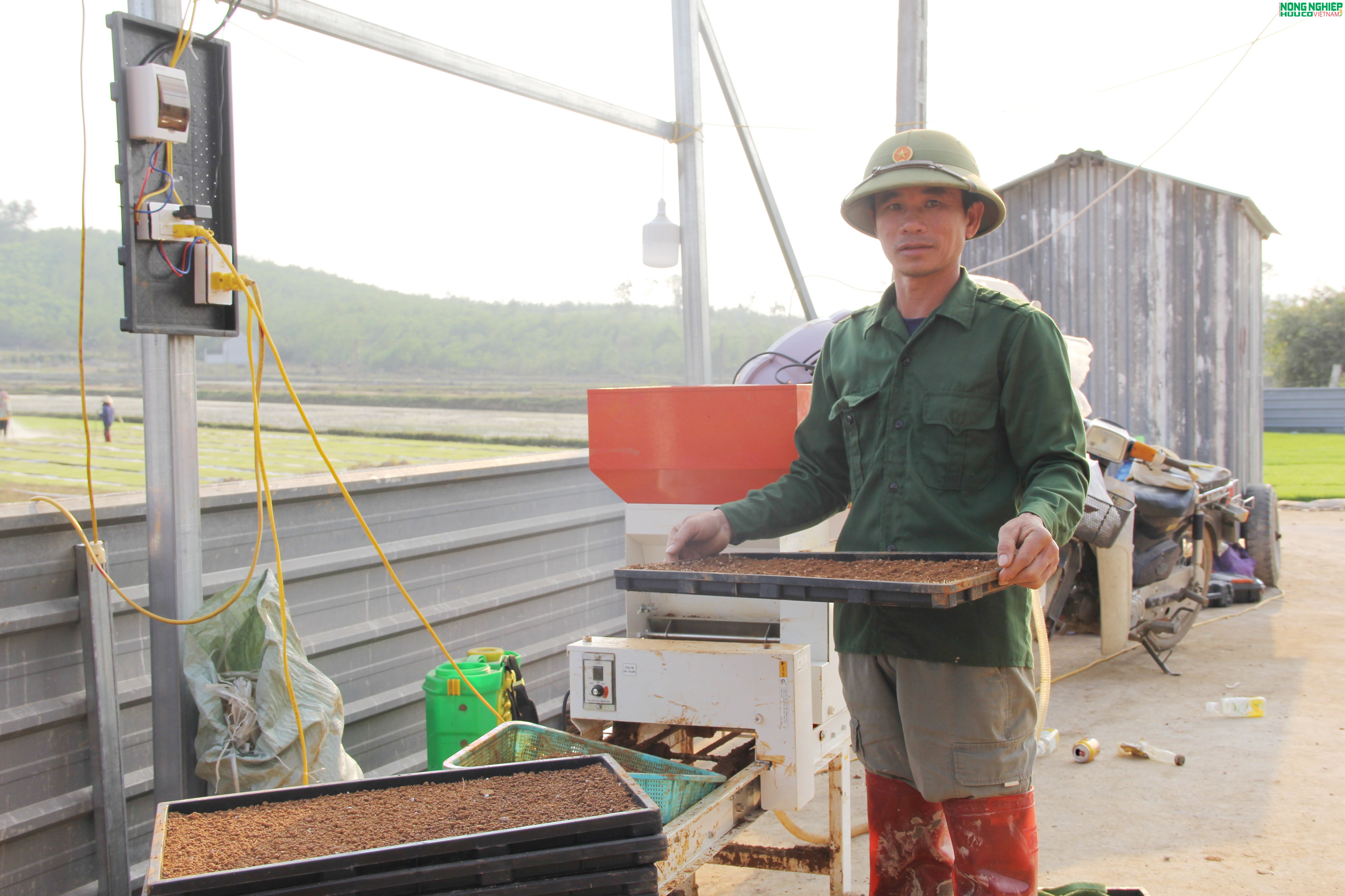Nông dân xã Bình Minh tiên phong ứng dụng khoa học kỹ thuật, gieo mạ khay quy mô lớn Nông dân xã Bình Minh tiên phong ứng dụng khoa học kỹ thuật, gieo mạ khay quy mô lớn