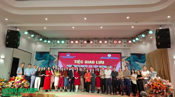 Giao lưu, kết nối doanh nghiệp Đông - Tây Hải Phòng đầu năm 2026