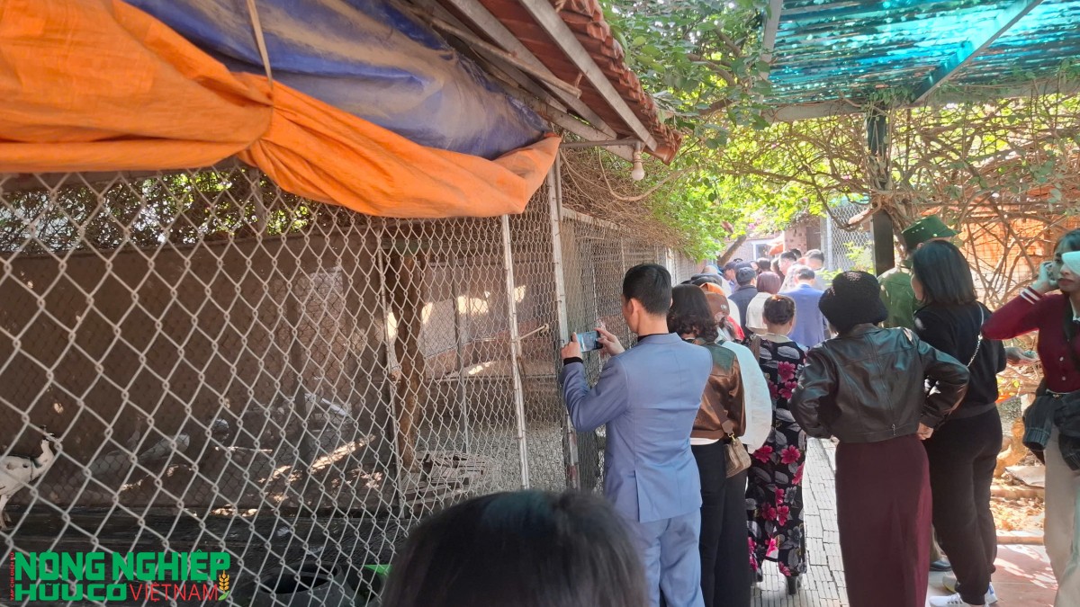 Giao lưu, kết nối doanh nghiệp Đông - Tây Hải Phòng đầu năm 2026