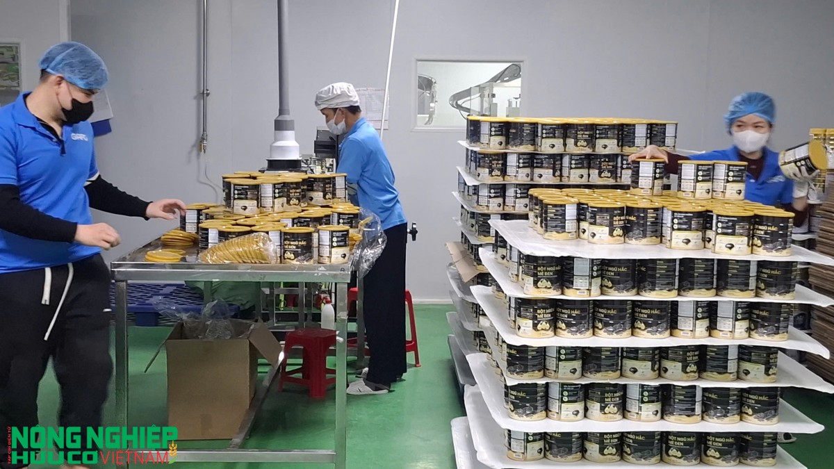 Giao lưu, kết nối doanh nghiệp Đông - Tây Hải Phòng đầu năm 2026