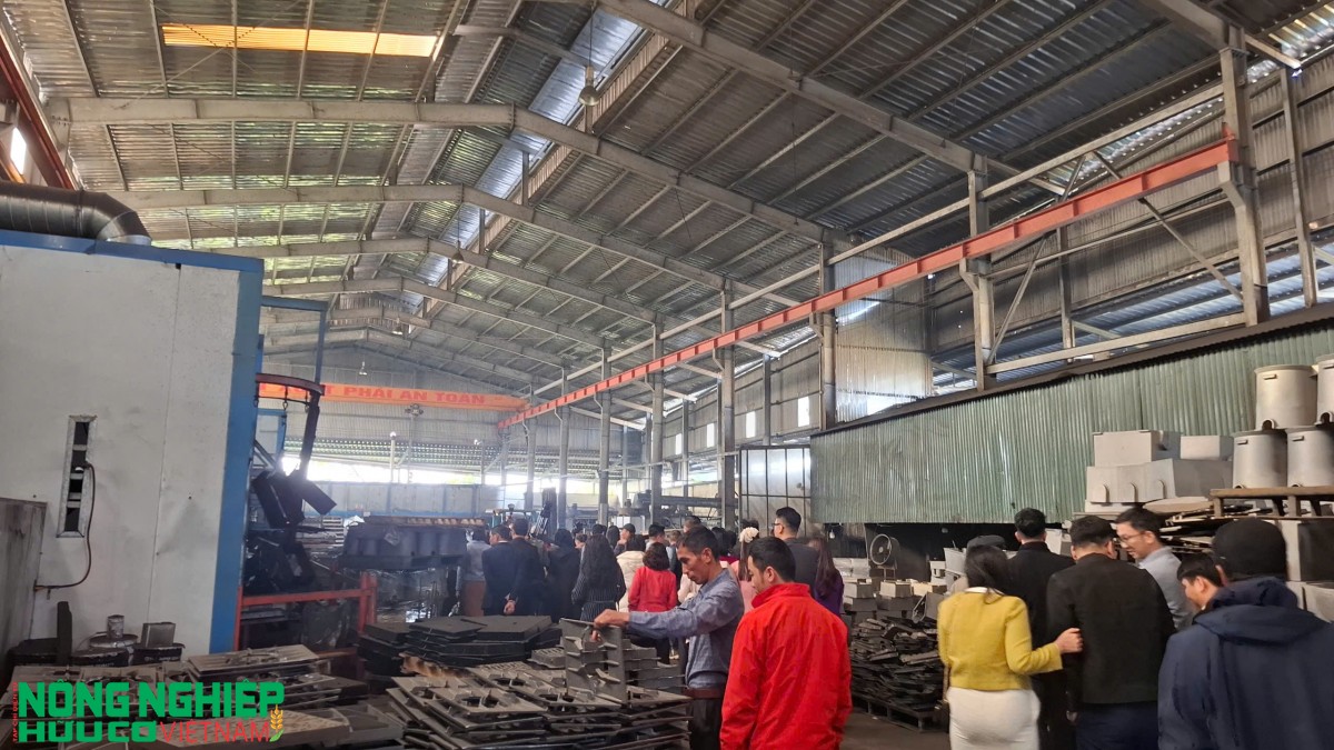 Giao lưu, kết nối doanh nghiệp Đông - Tây Hải Phòng đầu năm 2026