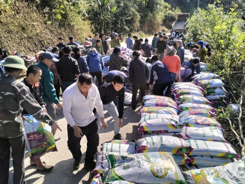 Cao Bằng: 173 hộ dân xã Kim Đồng tham gia Dự án trồng ngô lai thương phẩm