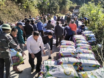 Cao Bằng: 173 hộ dân xã Kim Đồng tham gia Dự án trồng ngô lai thương phẩm