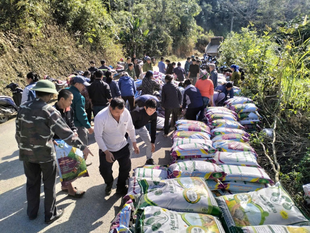 Cao Bằng: 173 hộ dân xã Kim Đồng tham gia Dự án trồng ngô lai thương phẩm