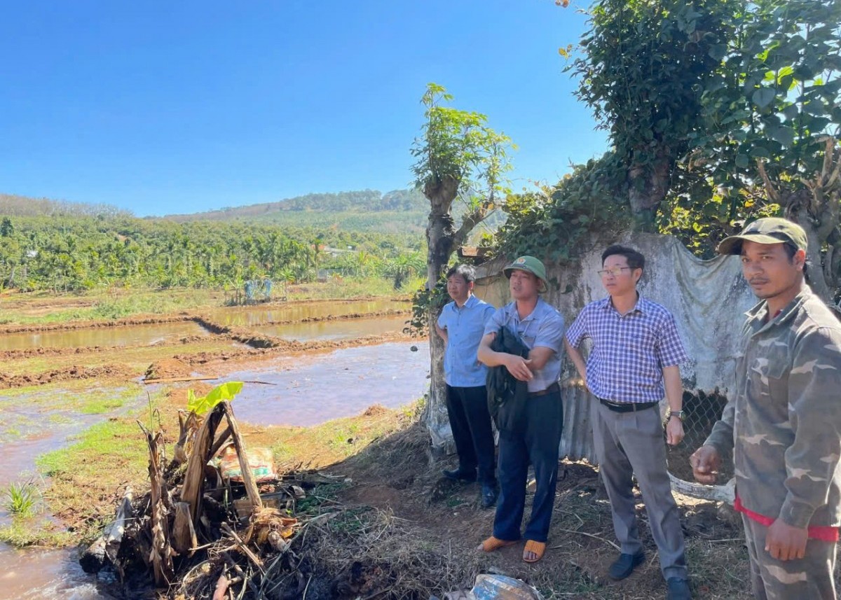 Lâm Đồng: Xã Tuy Đức kiểm tra việc triển khai các dự án hỗ trợ phát triển sản xuất