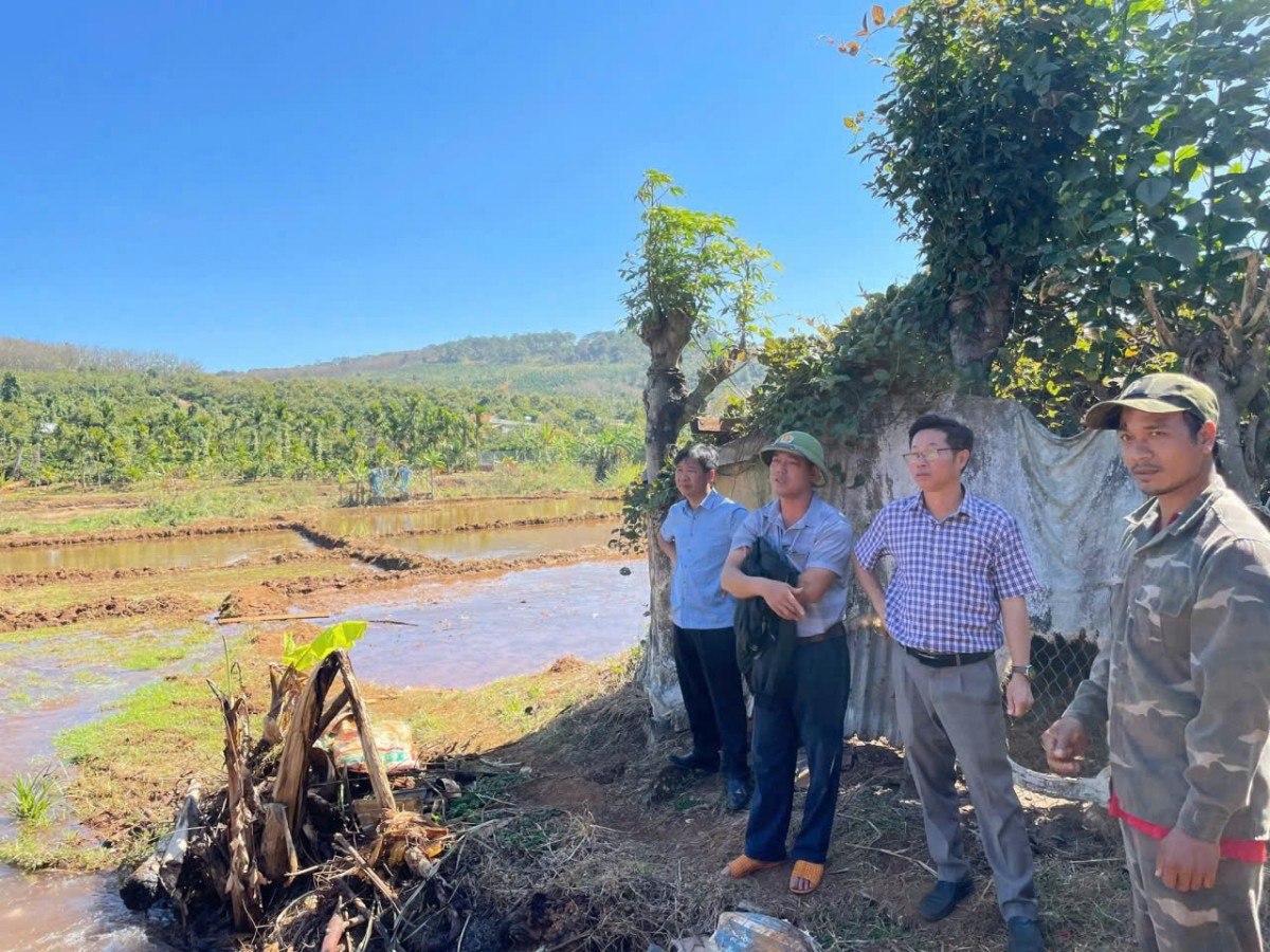 Lâm Đồng: Xã Tuy Đức kiểm tra việc triển khai các dự án hỗ trợ phát triển sản xuất