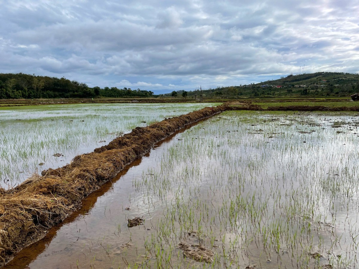 Lâm Đồng: Xã Tuy Đức kiểm tra việc triển khai các dự án hỗ trợ phát triển sản xuất