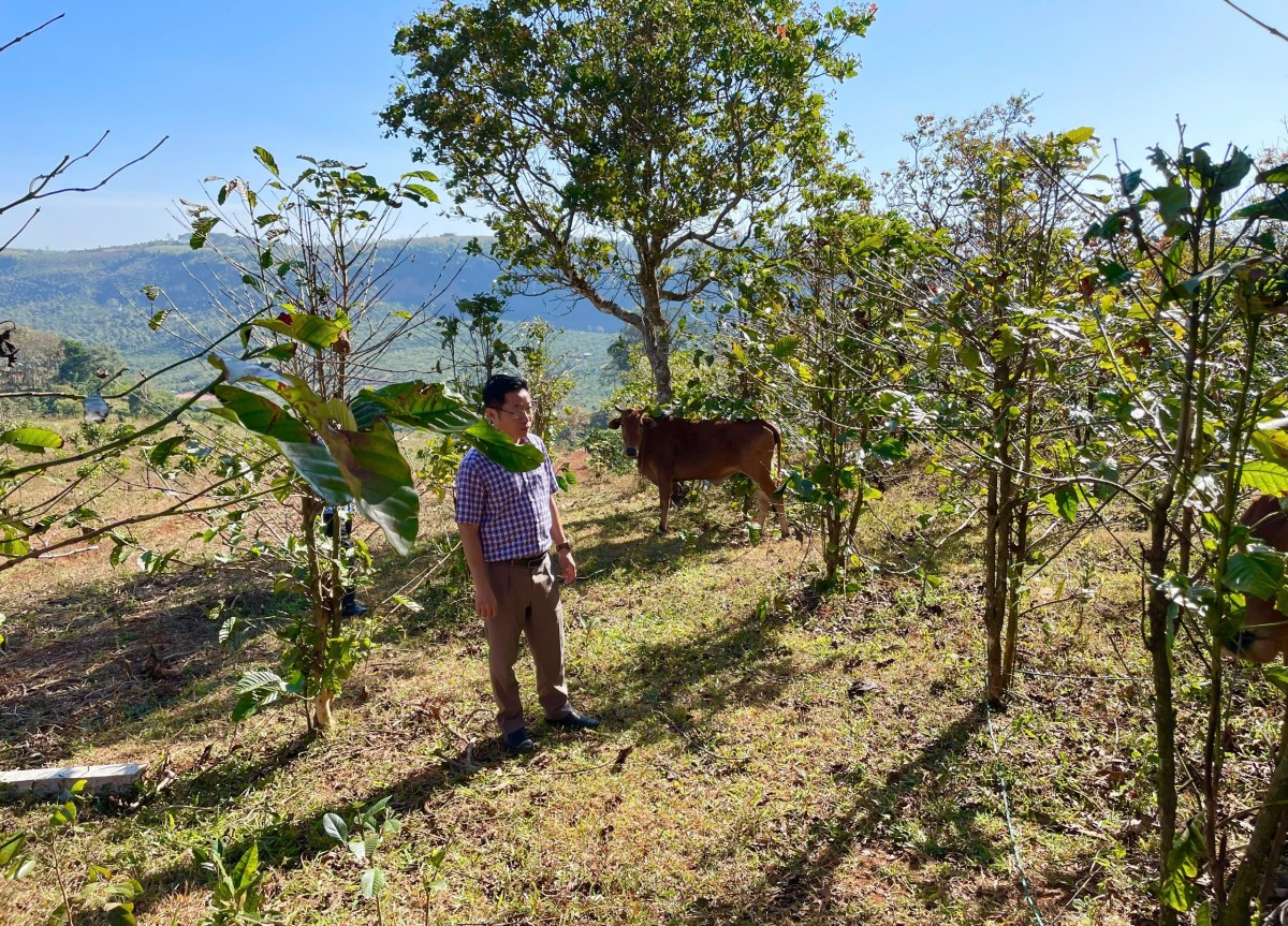 Lâm Đồng: Xã Tuy Đức kiểm tra việc triển khai các dự án hỗ trợ phát triển sản xuất