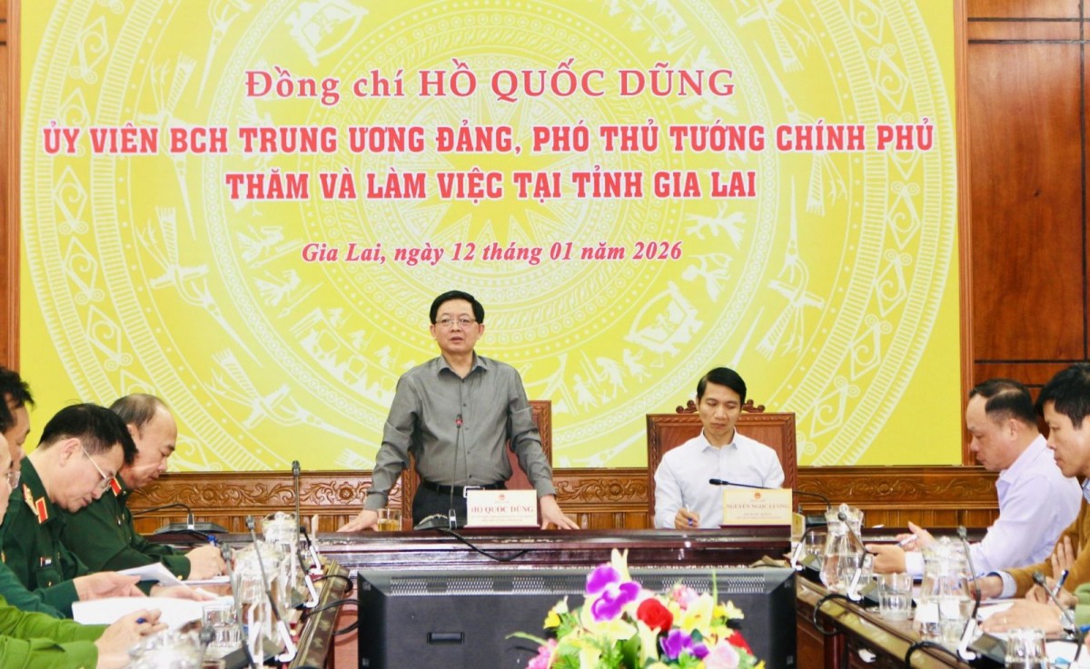 Phó Thủ tướng Hồ Quốc Dũng kiểm tra công tác xây dựng, sửa chữa nhà tại Gia Lai
