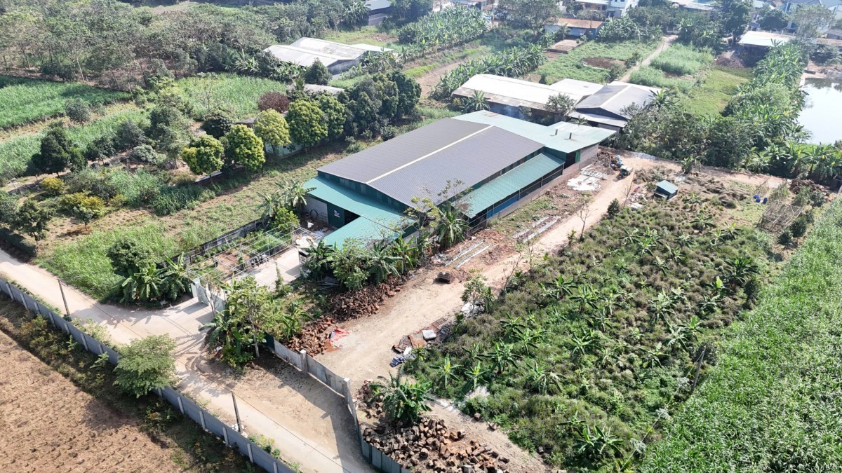 Phú Thọ: Cần giám sát chặt chẽ tình trạng xây dựng trái phép trên đất nông nghiệp tại xã Vĩnh Phú