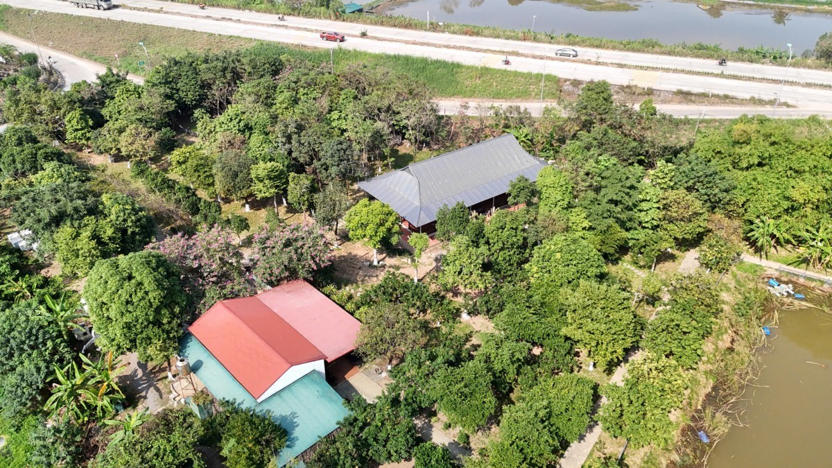 Phú Thọ: Cần giám sát chặt chẽ tình trạng xây dựng trái phép trên đất nông nghiệp tại xã Vĩnh Phú