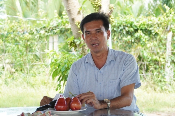 Lai tạo giống mận mới, "nhà khoa học nông dân" thu hàng chục tỷ mỗi năm