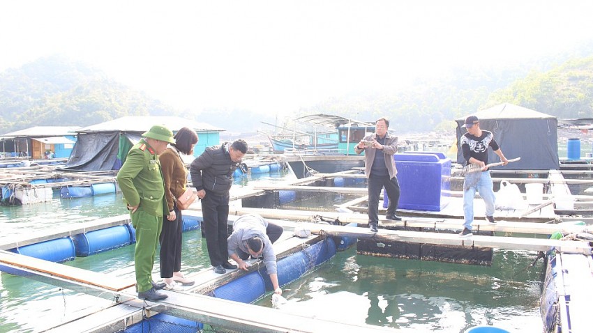 Đoàn tiến hành lấy mẫu thủy sản (cá) chết bất thường.