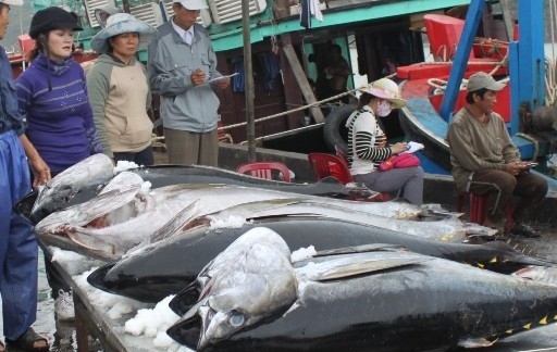 Đắk Lắk tổ chức Lễ hội Cá ngừ năm 2026 sẽ diễn ra vào đầu tháng 5/2026