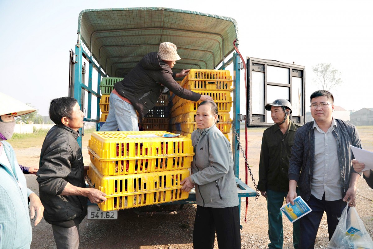 Nghệ An: Hàng trăm hộ nghèo, cận nghèo được cấp phát giống và vật tư hỗ trợ sinh kế