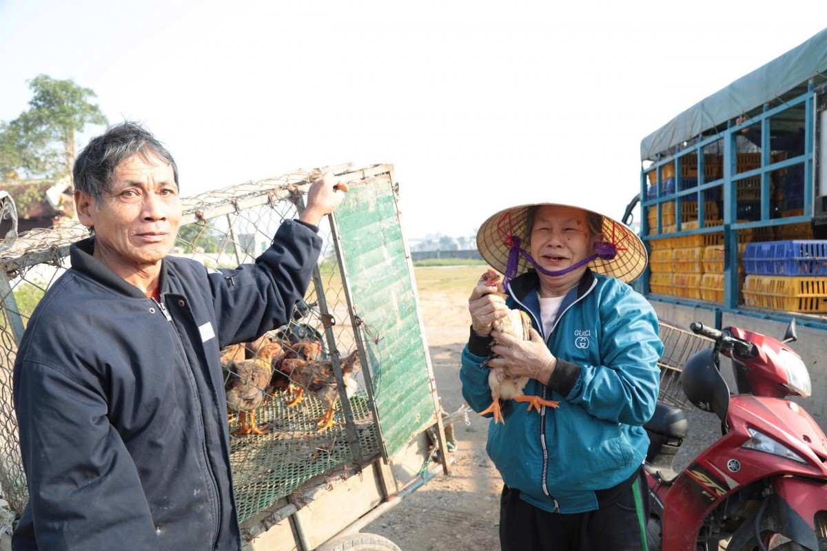 Nghệ An: Hàng trăm hộ nghèo, cận nghèo được cấp phát giống và vật tư hỗ trợ sinh kế