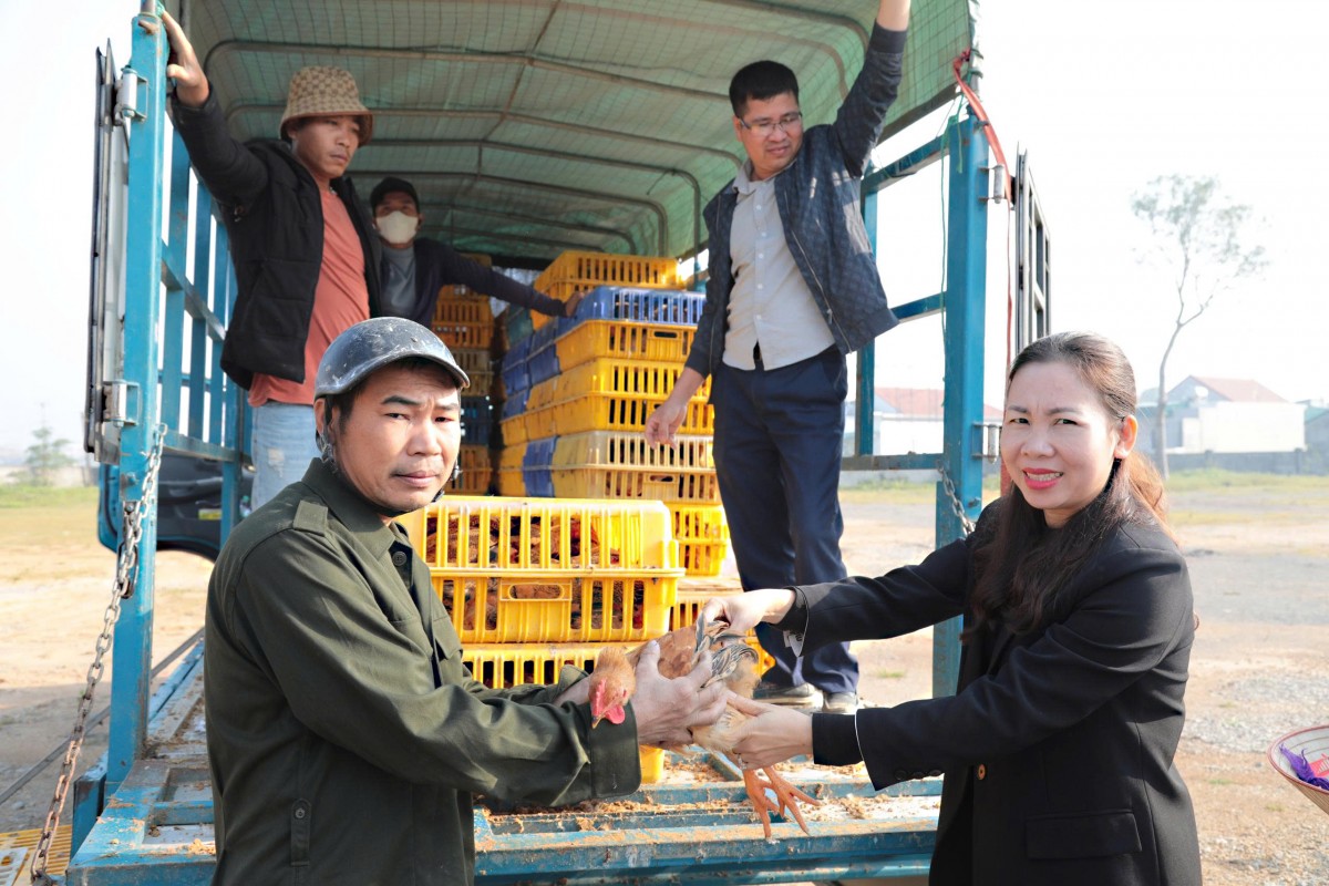 Nghệ An: Hàng trăm hộ nghèo, cận nghèo được cấp phát giống và vật tư hỗ trợ sinh kế