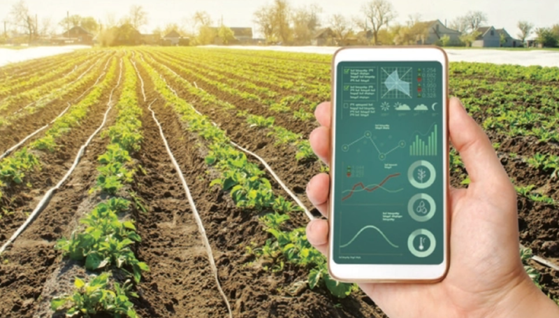 Quyết tâm thực hiện truy xuất nguồn gốc cho 100% sản phẩm, hàng hóa có độ rủi ro cao