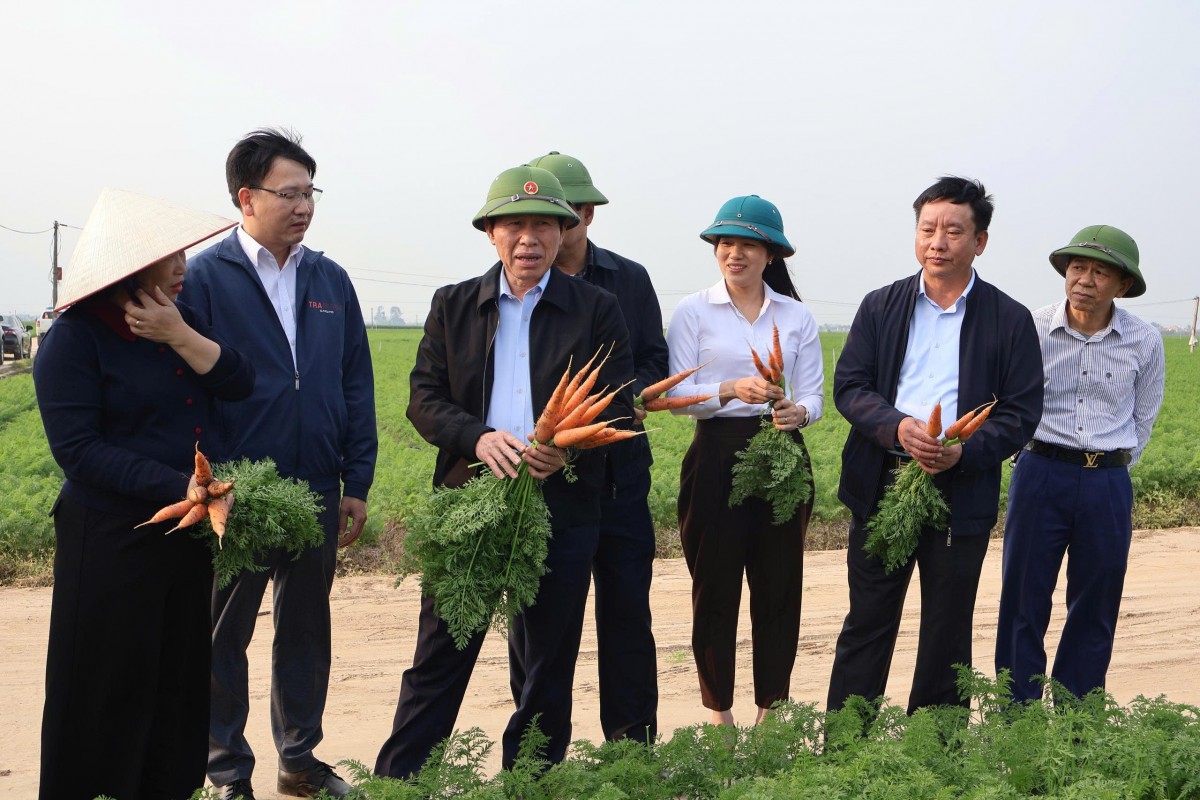 Hải Phòng quan tâm, chăm lo tới tình hình sản xuất nông nghiệp, kinh doanh trên địa bàn