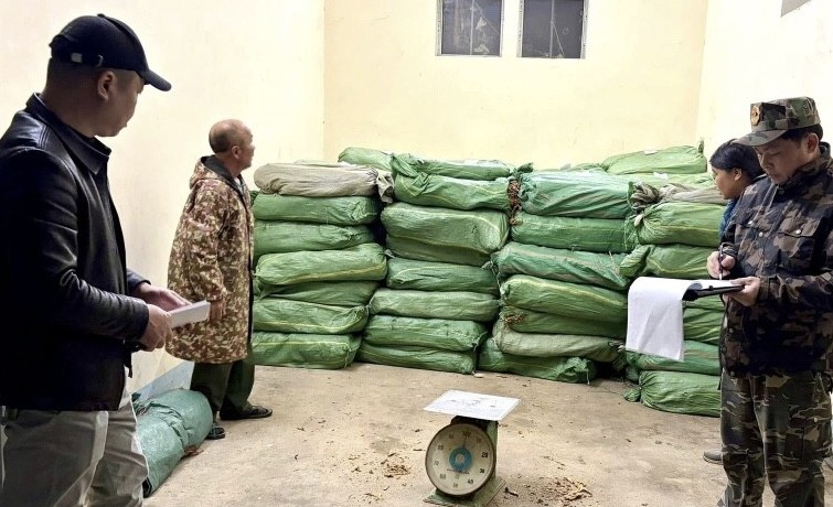 Cao Bằng: Bắt giữ hơn 3 tấn lá thuốc lá sấy khô vận chuyển trái phép