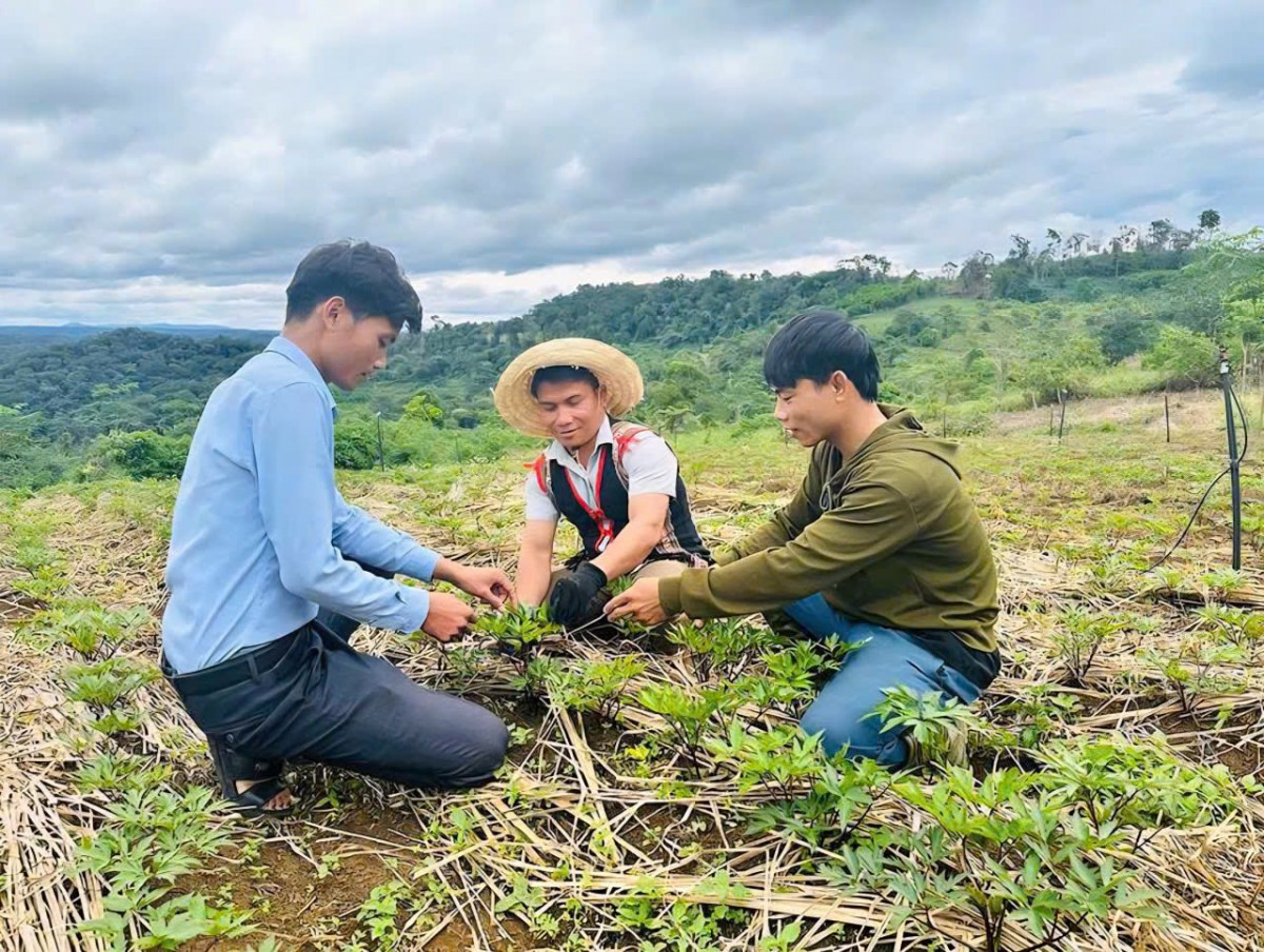 Gia Lai: Hội Nông dân trở thành 