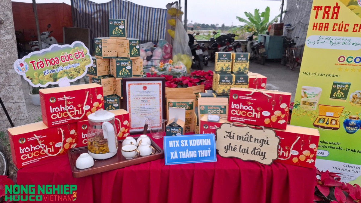 Hải Phòng kỷ niệm 440 năm Ngày mất Danh nhân văn hóa Trạng Trình Nguyễn Bỉnh Khiêm