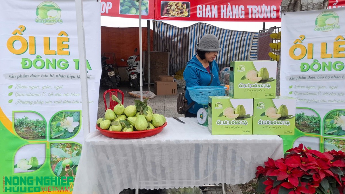 Hải Phòng kỷ niệm 440 năm Ngày mất Danh nhân văn hóa Trạng Trình Nguyễn Bỉnh Khiêm