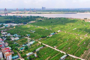 Phát triển sản phẩm xanh, sản phẩm văn hóa sáng tạo, sản phẩm OCOP phục vụ xuất khẩu