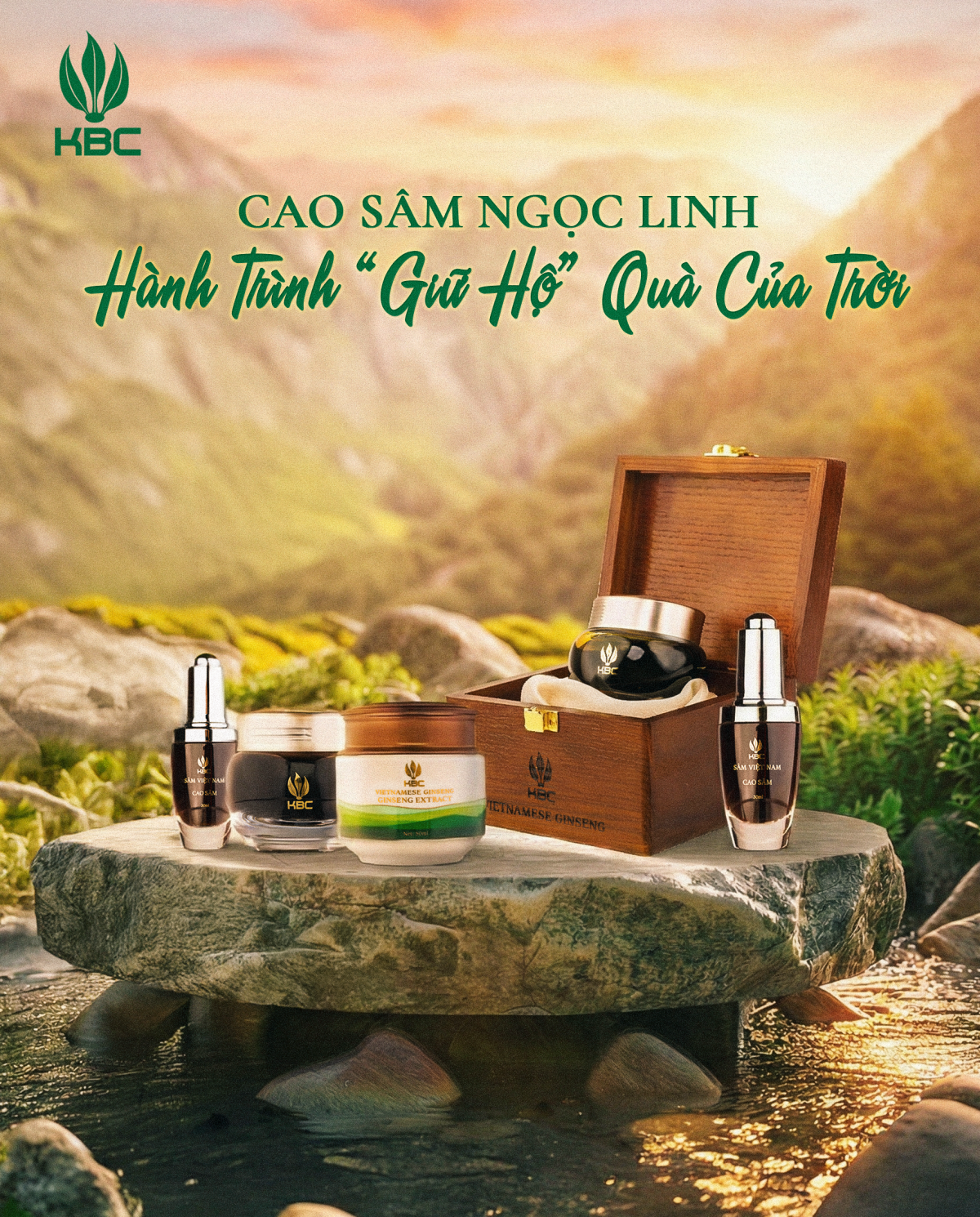 KBC ra mắt Cao Sâm Việt Nam – Quốc bảo được minh chứng bằng khoa học