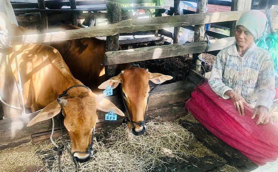 Quyết liệt các giải pháp 