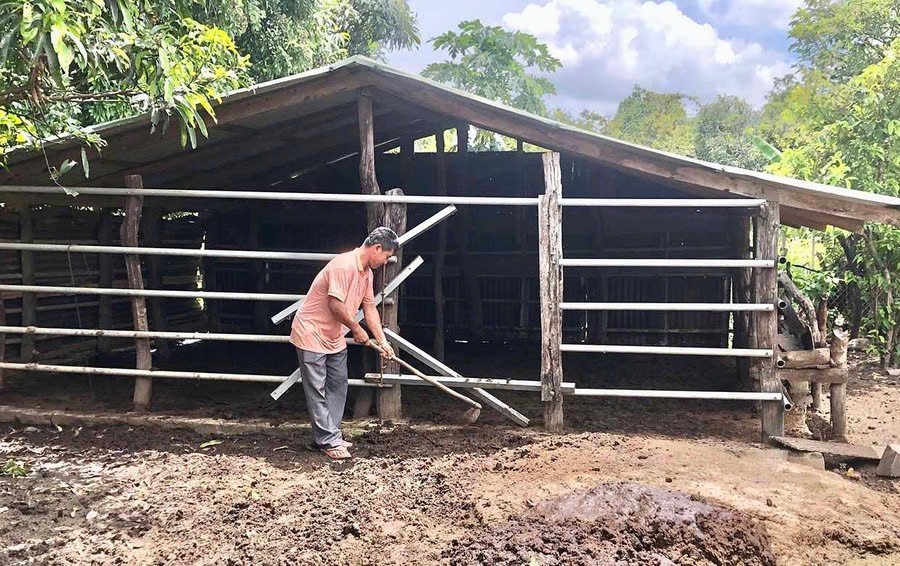 Quyết liệt các giải pháp 