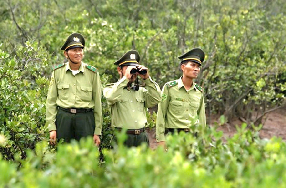 Gia Lai ban hành quy định mới về chi trả dịch vụ môi trường rừng