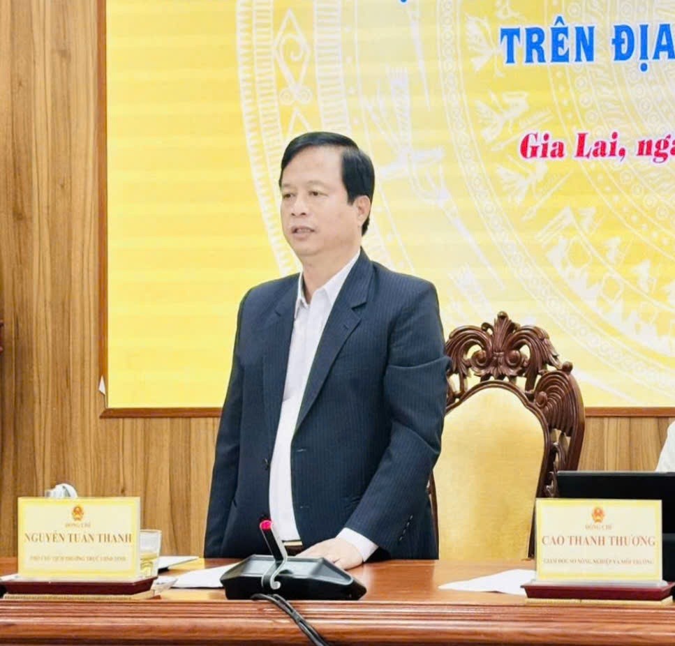 Gia Lai: Tổ chức Hội nghị nâng cao hiệu quả công tác quản lý tài nguyên khoáng sản