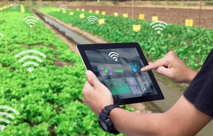 Phát triển một nền nông nghiệp hiện đại, bền vững: "Con đường" tất yếu cho tương lai