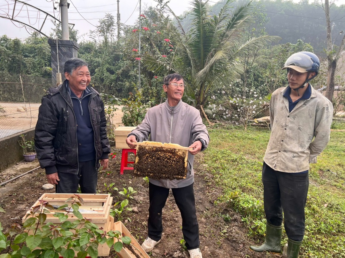 Quảng Trị: Hỗ trợ bà con nông dân các giống cây ăn quả và ong thích ứng với biến đổi khí hậu