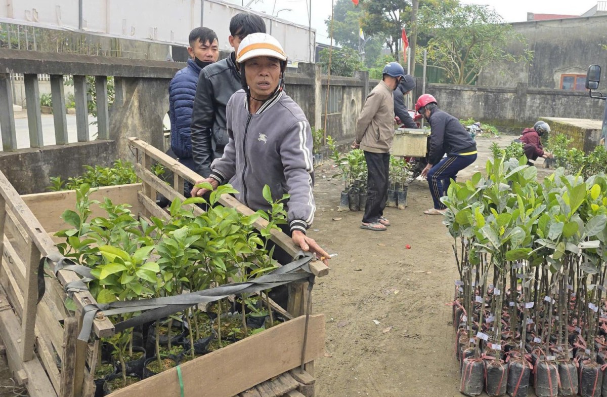 Quảng Trị: Hỗ trợ bà con nông dân các giống cây ăn quả và ong thích ứng với biến đổi khí hậu