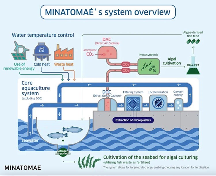 Nhật Bản: Nuôi cá hồi công nghệ cao ven đô với hệ thống MINATOMAÉ &ndash; Tạp chí Thủy sản Việt Nam