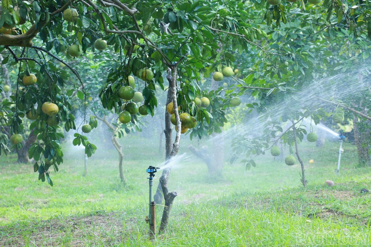 Lào Cai nở rộ mô hình nông nghiệp xanh