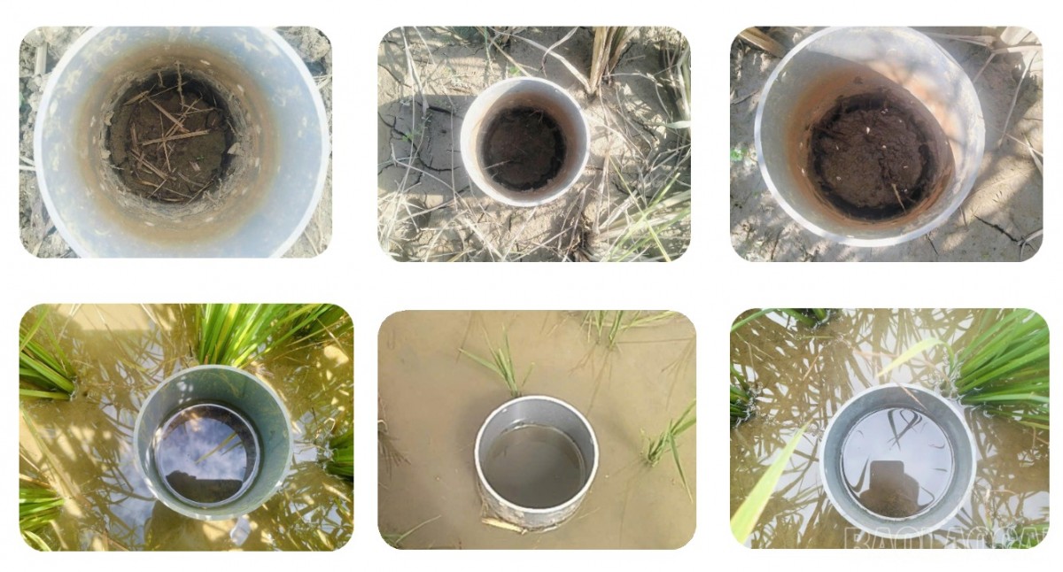 Lào Cai nở rộ mô hình nông nghiệp xanh