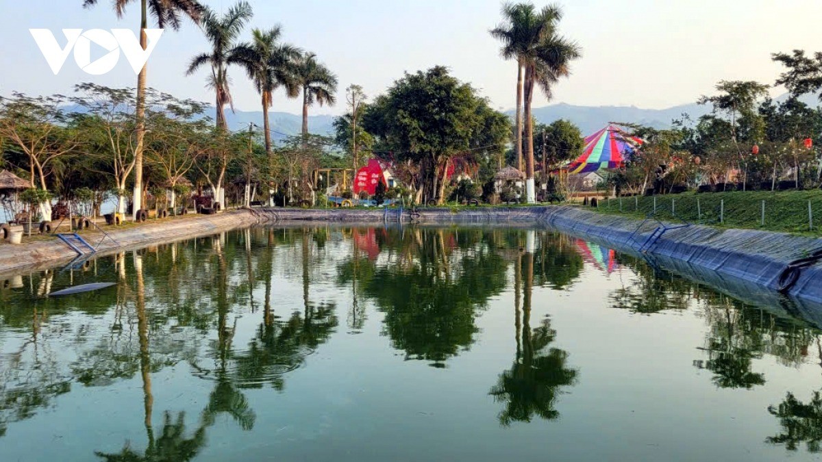 Nuôi cá trê thương phẩm - mô hình kinh tế nhiều tiềm năng ở Nghệ An