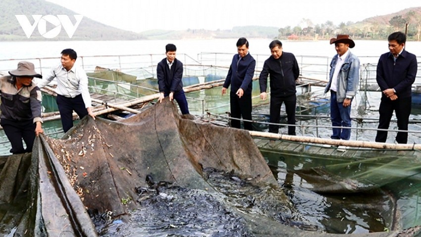 Nuôi cá trê thương phẩm - mô hình kinh tế nhiều tiềm năng ở Nghệ An