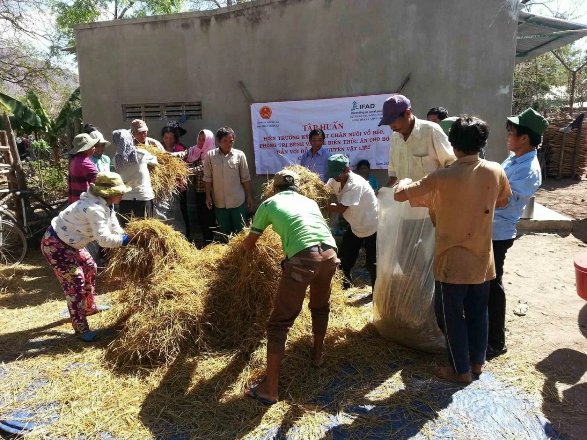 Thêm nguồn lực cho giảm phát thải và bảo vệ rừng