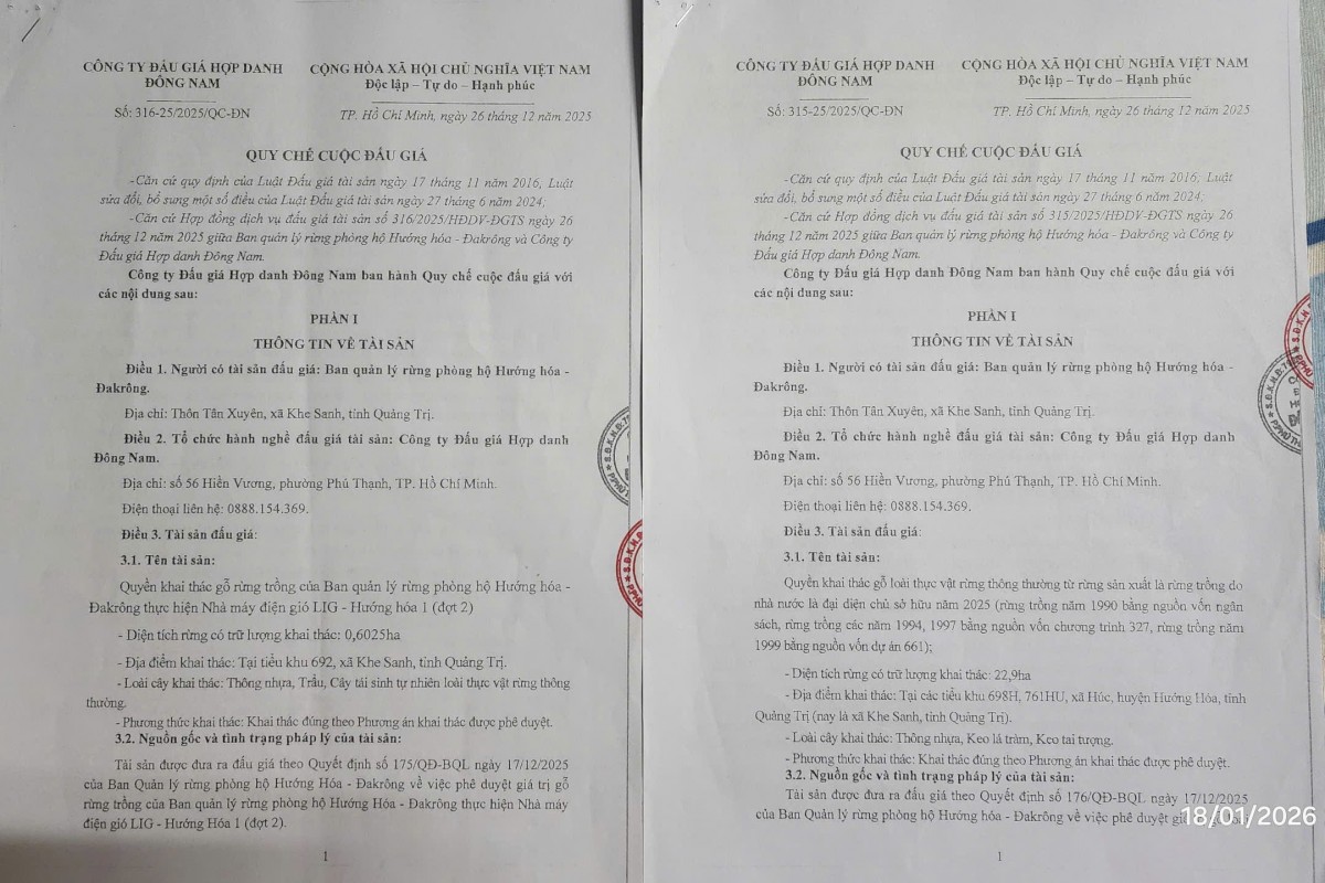 Quy chế cuộc đấu giá số: 315-25/2025/QC-ĐN và số: 316-25/2025/QC-ĐN 