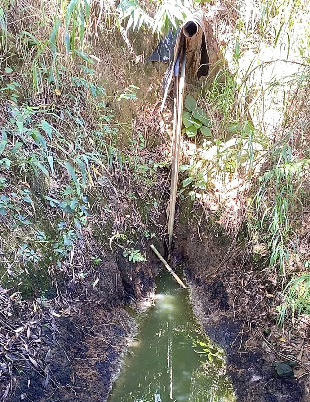 Từ ngày 6–12/1, Công an tỉnh Quảng Ngãi phát hiện 3 doanh nghiệp sản xuất tinh bột mì xả thải trái phép ra môi trường.