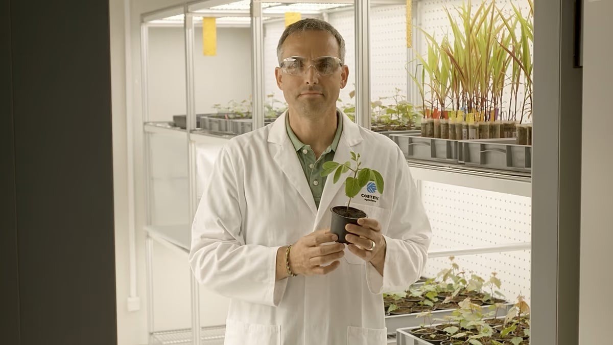 Số tiền kếch xù đổ vào công nghệ chỉnh sửa gen, hứa hẹn hồi sinh ngành nông nghiệp châu Âu