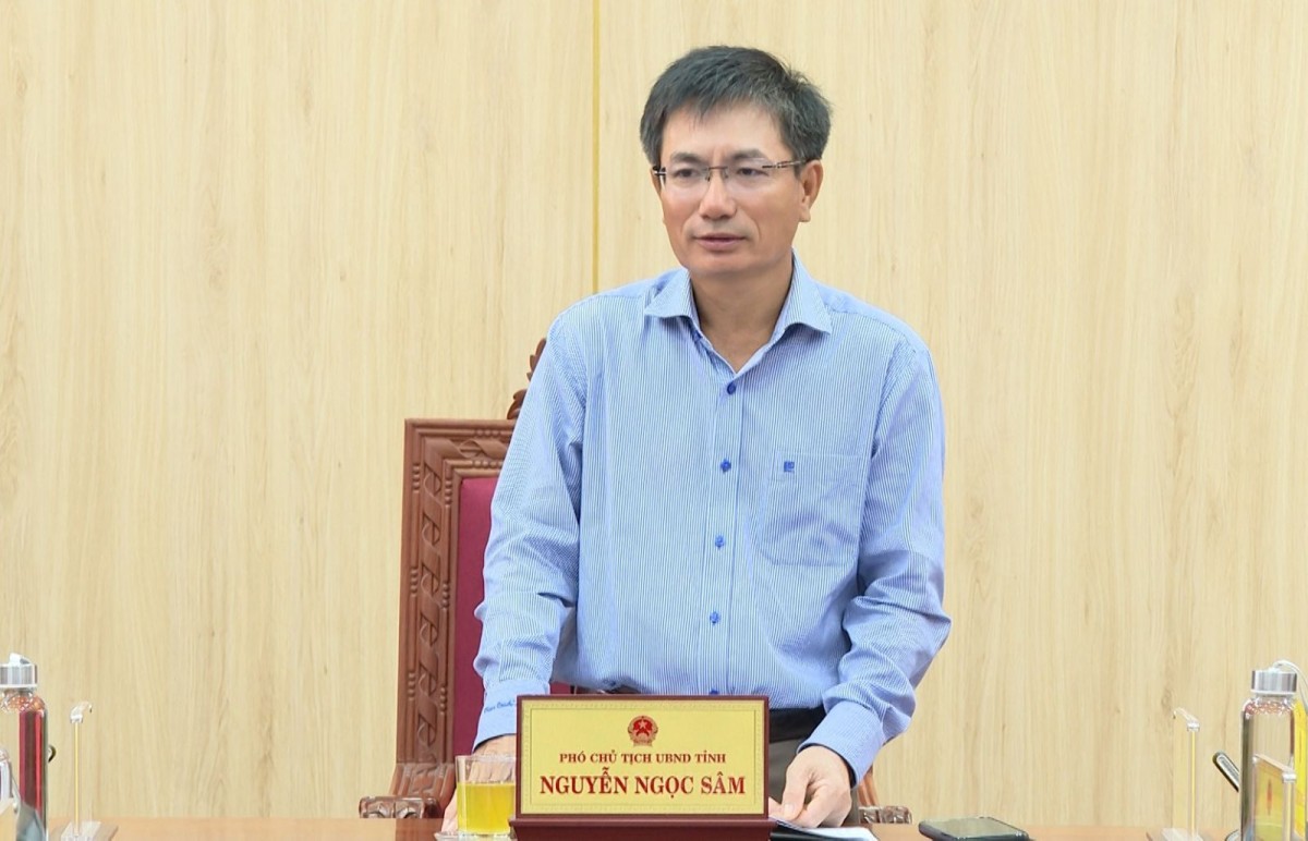 Phó Chủ tịch UBND tỉnh Nguyễn Ngọc Sâm chủ trì buổi làm việc