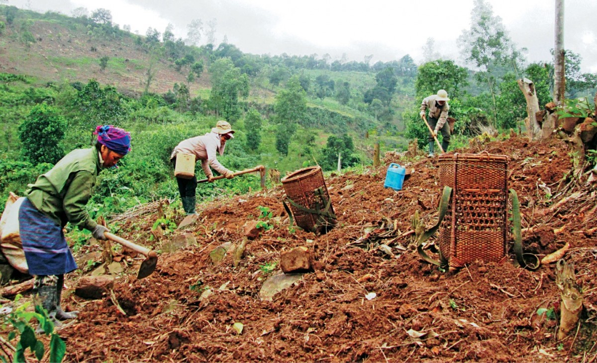 Chống sa mạc hóa tại Việt Nam - Bài 1: Đòn bẩy xóa đói giảm nghèo bền vững