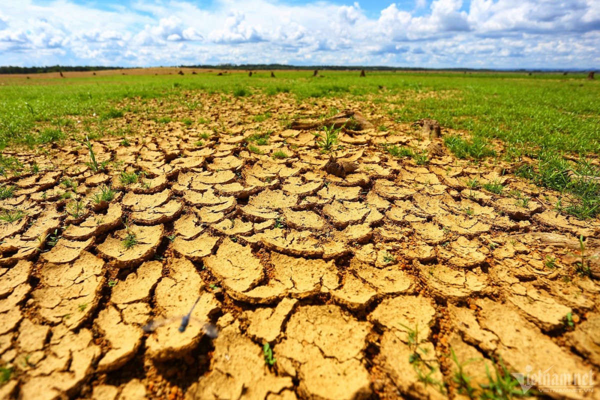 Chống sa mạc hóa tại Việt Nam - Bài 1: Đòn bẩy xóa đói giảm nghèo bền vững