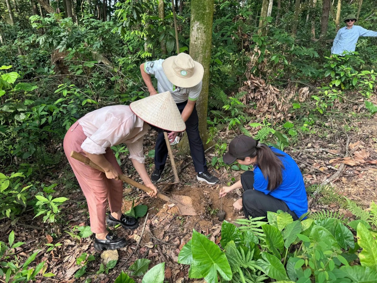 Trồng rừng – chống sa mạc hóa góp phần ngăn chặn thiên tai như hạn hán, lũ lụt …